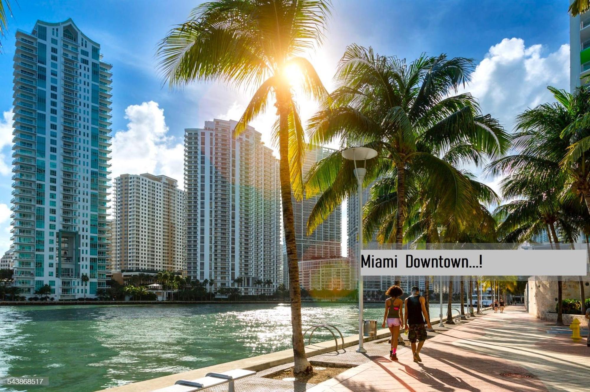 Experience The Perfect Miami Life!! Centrally Located Luxury Condo! Eksteriør bilde